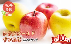 りんご サンふじ シナノゴールド 詰め合わせ 約10kg フルーツ 果物 甘い 林檎 セット