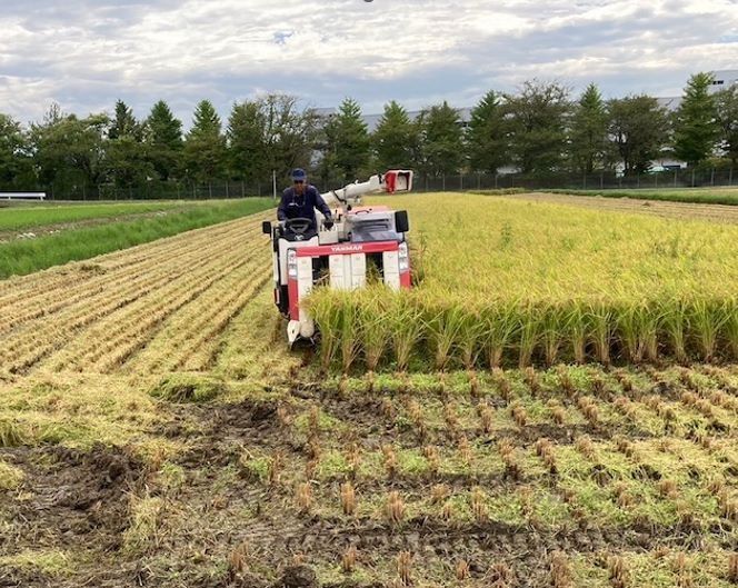 【6ヶ月定期便】 富山県滑川産　「てんこもり」与文のお米 （玄米10kg）×6回 計60kg[K-050001] / 産地直送 袋 てんこもり おにぎり お米 白米 国産 ご飯 ごはん 富山県 滑川市 アグリめぐみ 頒布会 定期便 [K-050001]