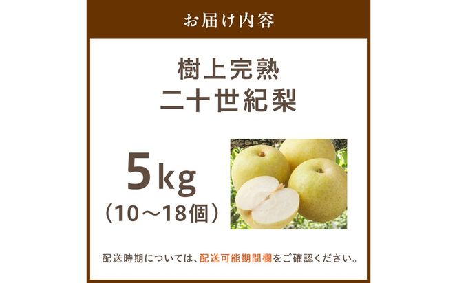 【先行予約】樹上完熟 二十世紀梨 5kg(10～18個)（2026年8月下旬～発送）フルーツ ふるさと納税 なし ふるさと納税 梨 農家直送 果樹園直送 生産者応援 農家応援　BF00002
