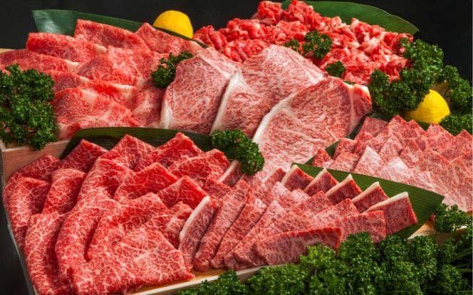 肉の横綱　伊賀牛１/2まるごと食べ尽くし cook0045