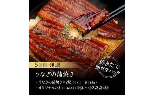 【CF-R7hbk】t130kyf-kgp-tka　コロナ支援事業者さんを救いたい5か月定期便／1回目:マグロの漬け丼、2回目:極カツオのたたき×2節・銀象ソルト+土佐にんにくぬた、3回目:赤＆白ホルモンセット、4回目:塩昆布14日間熟成マグロ赤身＆中トロセット、5回目:「西岡うなぎ」蒲焼き2尾セット～並～