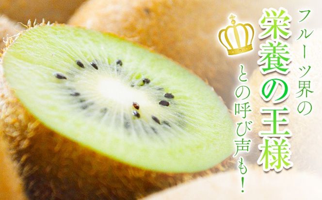 先行予約 和歌山県産 キウイフルーツ 約3.6kg 約20玉～36玉前後 前商店《2026年2月上旬-3月末頃出荷》キウイ キウイフルーツ フルーツ スイーツ 果物 送料無料---wsk_mes18_2j3m_25_14000_20t---