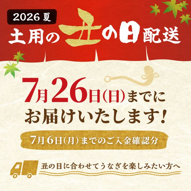 数量限定！地域応援企画！うなぎ蒲焼き4尾セット＜刻みうなぎ40g×1袋付＞【魚住商店】_HA1494-CP 特上 鰻 ウナギ 人気 特大 炭火 うなぎの蒲焼 丑の日 土用 真空 福岡県宗像市 宗像市 福岡 宗像