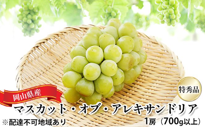 ぶどう 2026年 先行予約 マスカット・オブ・アレキサンドリア 特秀品 1房（1房700g以上）化粧箱入り 葡萄 岡山県産 国産 フルーツ 果物 ギフト 果実 上品 高級