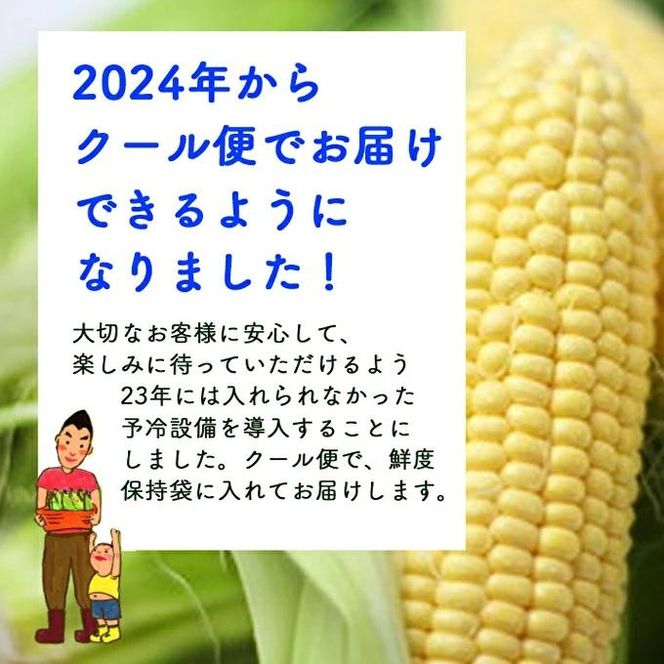 朝どり とうもろこし 20本（8kg前後）よしよし畑 農家直送