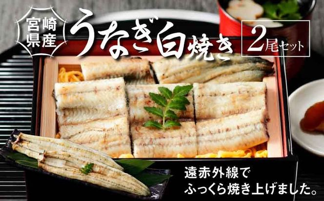 y{茧؏钬z{茧Y Ȃ Ă 2Zbg K10_0006_3