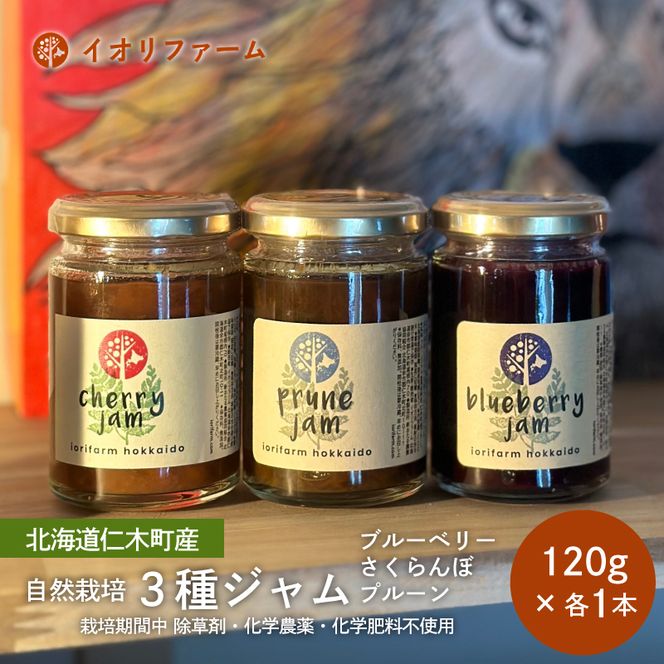 北海道 仁木町産 ジャム120g×3種セット（ブルーベリー・プルーン・さくらんぼ） 栽培期間中 除草剤・化学農薬・化学肥料不使用 サクランボ 果物 フルーツ イオリファーム [iori farm]