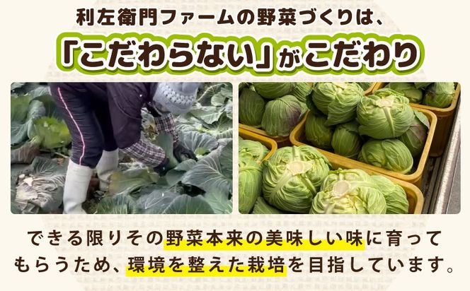 G3452 季節の野菜セット 2～7種類【国産 新鮮 おまかせ 詰め合わせ】