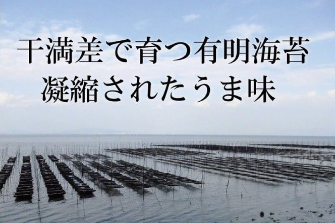 AJ001 海苔 有明海産 初摘み 海苔セット 曙光 桐箱入り 焼きのり 2切42枚 味のり 8切200枚 [ 海苔 のり 味付け海苔 味付けのり 焼き海苔 味海苔 初摘み 有明海 国産 ご飯のお供 個包装 小分け 丸政水産 長崎県 島原市 ]