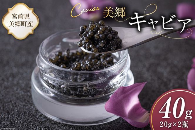 y{茧z LrA `EU 40g [{LrA {茧  31az0013] 񂩂 LJ  t[o[ Ⓚ {茧Y