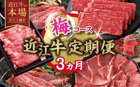 【期間限定】特選近江牛定期便（３カ月）梅コース（近江牛マスター中級編）【ZZ58W】（滋賀県　近江八幡市）