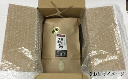 【令和5年産】伊都の米 （ ヒノヒカリ ） 2kg 糸島市 / 伊都福祉サービス協会 [APL001] 米 白米 玄米