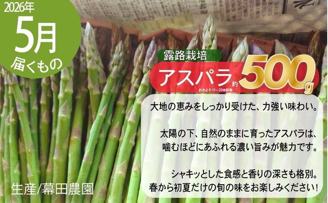 【2027年春発送】富良野産 アスパラ 食べ比べ 全2回定期便 アスパラ ハウス栽培 露地栽培 北海道 富良野市 緑アスパラ 野菜 とれたて 朝採り 食べくらべ 定期便 数量限定