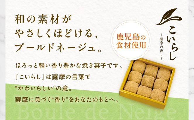 ＜選べる＞こいらし　K300-010_SKU