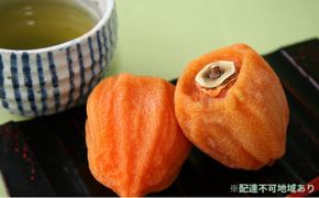 あんぽ柿 蜂屋柿 平箱 1kg相当（7～15玉） | 柿 果物 フルーツ 福島県 ※2026年12月～発送