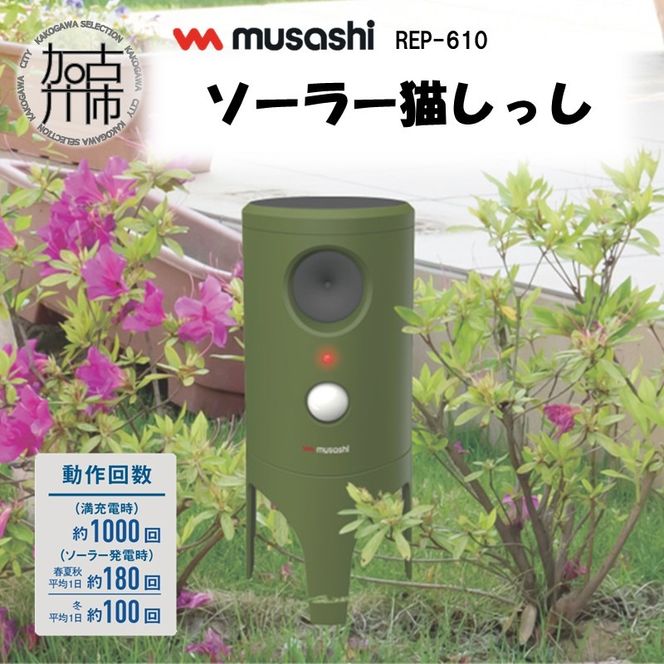 yɌÐszmusashi REP-610 \[[Ls L L΍ lRQy lR΍ pi ty2402O10825z