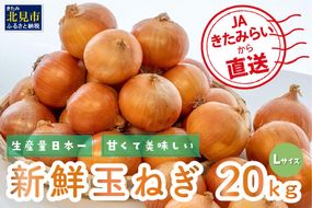 JAきたみらいから直送する甘くて美味しい新鮮玉ねぎ 20kg Lサイズ【104-0008-2025】