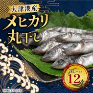 丸干し３Lめひかり(12本)【めひかり メヒカリ 3L 魚 海産物 茨城県 北茨城市 冷凍】（DM002）
