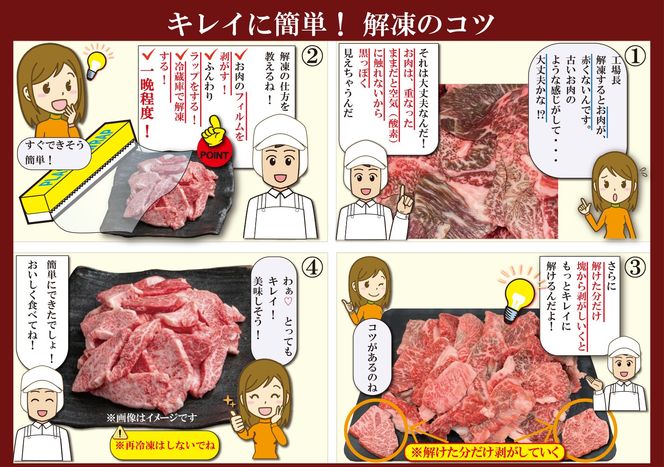 神戸牛 切り落とし肉 800g【バラ・肩・モモ】（切り落とし400g カルビ 400g）/ 訳あり 牛肉 切り落とし 牛カルビ 焼肉 霜降り 但馬牛 黒毛和牛 国産牛 やきにく TYSY2 神戸ビーフ 太田牧場【但馬牛太田家】【2026年4月より順次発送】