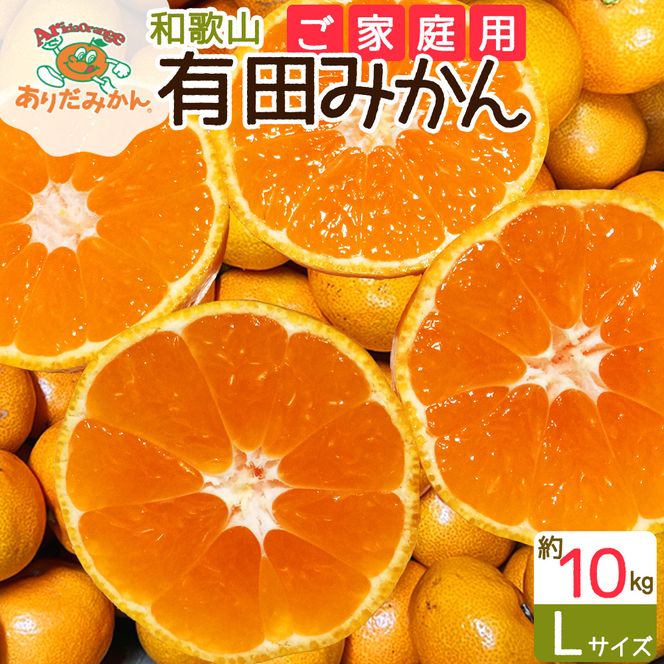 ZJ6091_【2026年先行予約】【ご家庭用】和歌山 有田みかん 約10kg Lサイズ【湯浅町】