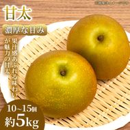 【濃厚な甘み】やわらか果肉の甘太 10～15個(約5kg) 1箱 甘太 梨 フルーツ 甘い 濃厚 農家直送 ギフト 贈答用 家庭用 お取り寄せ 熊本県