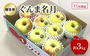 【11月発送】 りんご ぐんま名月 贈答用 約 3kg 林檎 フルーツ 果物 ギフト 青森県 鶴田町