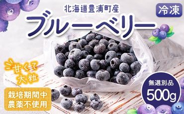 栽培期間中農薬不使用冷凍ブルーベリー　無選別品　500g TYUS024