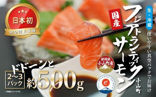 日本初 完全陸上養殖 静岡県小山町産 フジアトランティックサーモン 生 ・冷蔵 2～3P 約500g