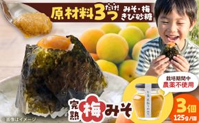 糸島完熟うめみそ3個セット 糸島市 / 糸島げんき工房[AKR005]