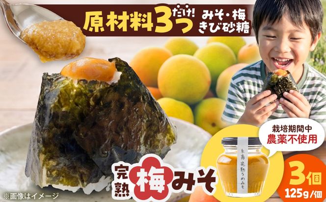 糸島完熟うめみそ3個セット 糸島市 / 糸島げんき工房[AKR005]
