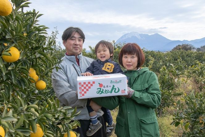 DD002 【令和8年10月下旬から順次発送】森崎果樹園の露地もの完熟温州みかん（12kg）[みかん ミカン オレンジ 果物 くだもの フルーツ 露地もの 完熟 温州 長崎県 島原市]