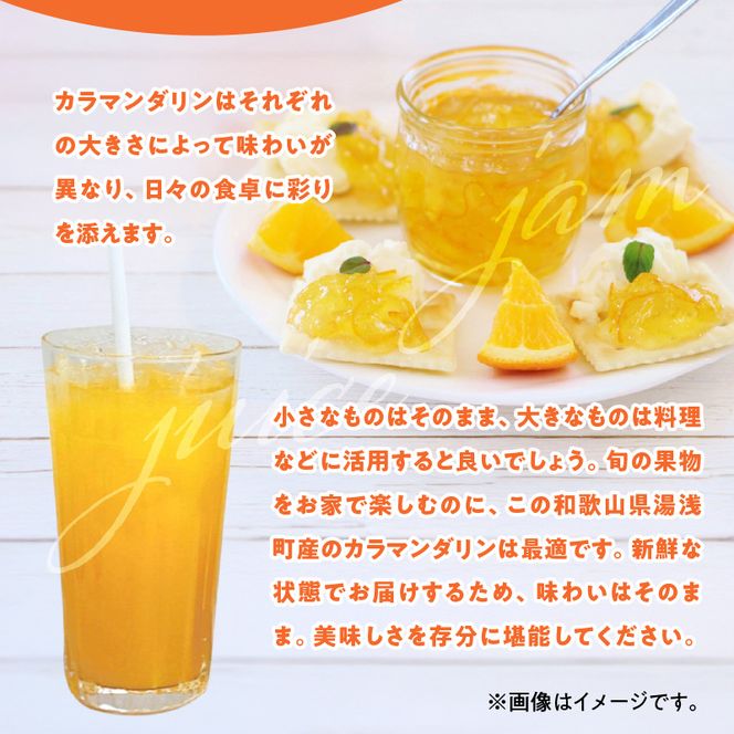 【2027年先行予約】和歌山県産　カラマンダリン　約3kg　家庭用_ZE6502