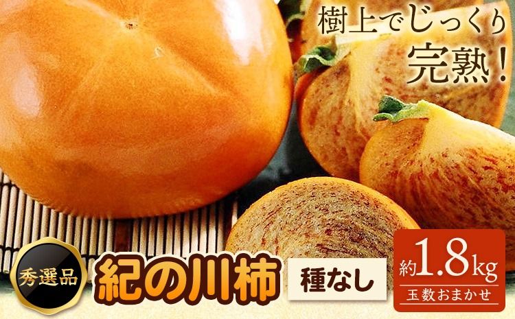 希少 紀の川柿 約1.8kg (種無し) 秀選品 (玉数おまかせ) 厳選館 [先行予約][2026年10月中旬-11月末頃出荷] 和歌山県 日高町 柿 カキ かき ジューシー フルーツ---wsh_gsk166_10j11j_25_13000_2kg---