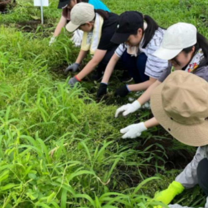 S25足柄ふれあい公園　体験農園　みんなの畑・おやま協賛プラン	