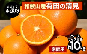 【まごころ手選別】和歌山産　有田の清見　約10kg(2S～3Lサイズ混合)【家庭用】
