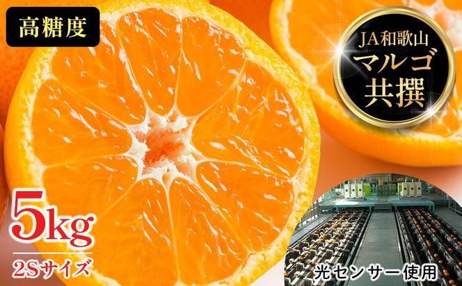 有田みかん 5kg 2Sサイズ 光センサー使用 高糖度 CM01