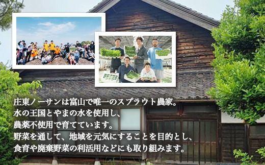 【射水市】【農業】【体験】スプラウト農家（豆苗、カイワレ、ブロッコリースプラウト）オーナー権