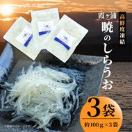 霞ヶ浦　暁のしらうお　約100g×3パック|茨城県 行方市 ふるさと納税 白魚 しらうお 海鮮（GT-5）