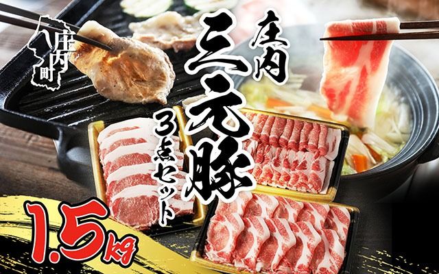 ブランド豚「庄内三元豚」3点セット（計1.5kg）