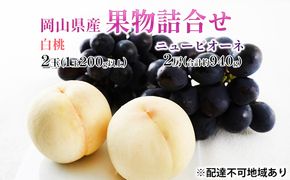 桃 ぶどう 2026年 先行予約 果物詰合せ 白桃 2玉（1玉200g以上） ニュー ピオーネ 2房（合計約940g）化粧箱入り 岡山県産 国産 フルーツ 果物 ギフト  贈り物 セット 