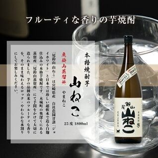 定期コース3回　本格焼酎芋「尾鈴山 山ねこ(25度)」1800ml×2本【尾鈴山蒸留所】 K09_T002_3