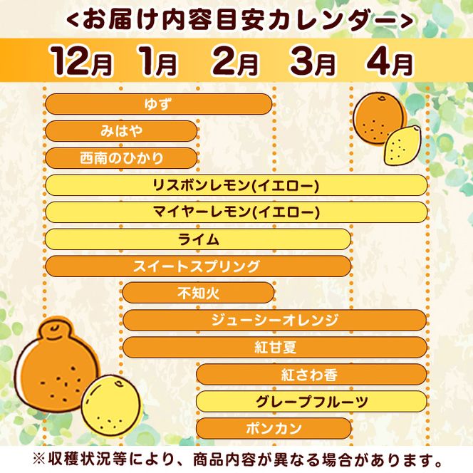 ＜2026年12月発送分！＞旬の柑橘詰合せセット (約10kg) 国産 鹿児島県 阿久根市 果実 果物 フルーツ 柑橘 みかん ミカン 旬 詰め合わせ セット【桐野柑橘株式会社】akn070-16-m12
