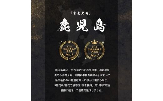 すき焼きに！鹿児島県産黒毛和牛スライス 計700g(350g×2P) a5-299