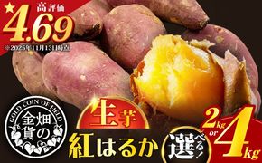 畑の金貨 生芋 紅はるか 容量が選べる　2kg or 4kg　K181-004