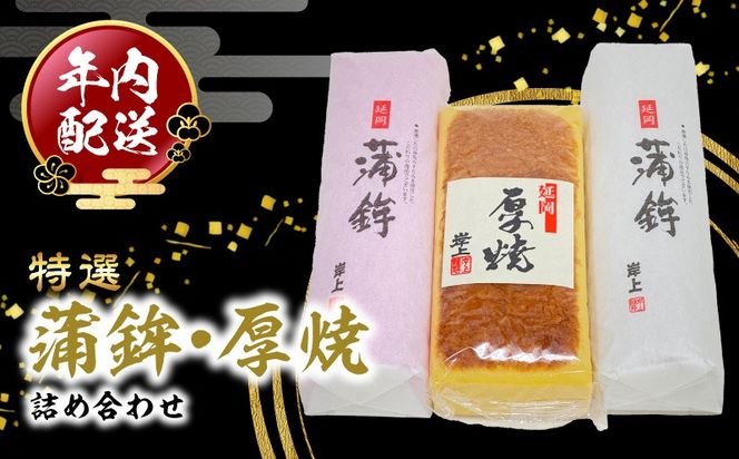 y{茧szgEċlߍ킹 N006-YB098