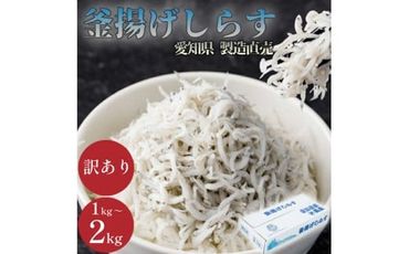 [容量が選べる]しらす 訳あり 1kg〜2kg 釜揚げしらす シラス ごはん おかず チャーハン パスタ 料理 大きめ 産地直送 ランキング こだわり 鮮度 天塩 マル伊商店 愛知県 南知多町