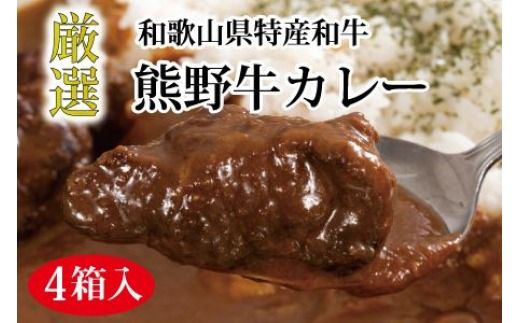 特選黒毛和牛 熊野牛カレー ４箱 【mtf102】