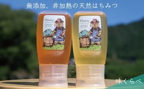 合計600g 天然蜂蜜 国産蜂蜜 非加熱 生はちみつ 岐阜県 美濃市産 味比べ 蜂蜜300g入りピタッとボトル2本セットC5 深田養蜂のハチミツ
