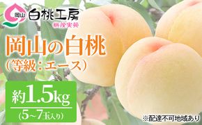 桃 2026年 先行予約 白桃 等級 エース 約1.5kg 5～7玉入り もも モモ 岡山 国産 フルーツ 果物 桃茂実苑 果肉 