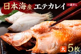 【店主一押し！絶品干物！高リピート！】エテカレイ一夜干し　大サイズ（夕食サイズ）5枚　YK00154